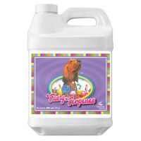 Advanced Nutrients TASTY TERPENES (1L)