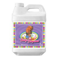 Advanced Nutrients TASTY TERPENES вітаміни, амінокислоти (5L)