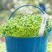 Маркувальні бирки Herbgarden для зручності садівництва