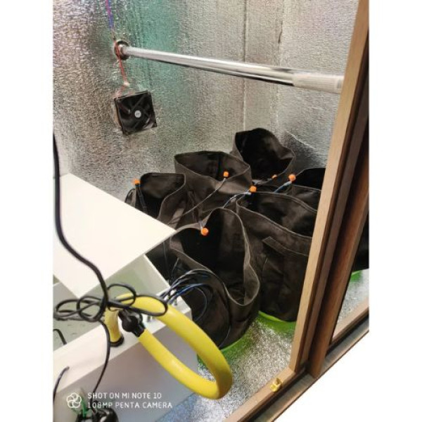 Гроубокс Big Ben Grow Box стелс Quantum Board 240W з автополивом для вирощування рослин