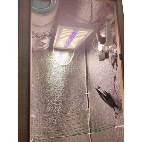 Гроубокс Grow Box стелс Quantum Board 120W з установкою DWC для гідропонного вирощування