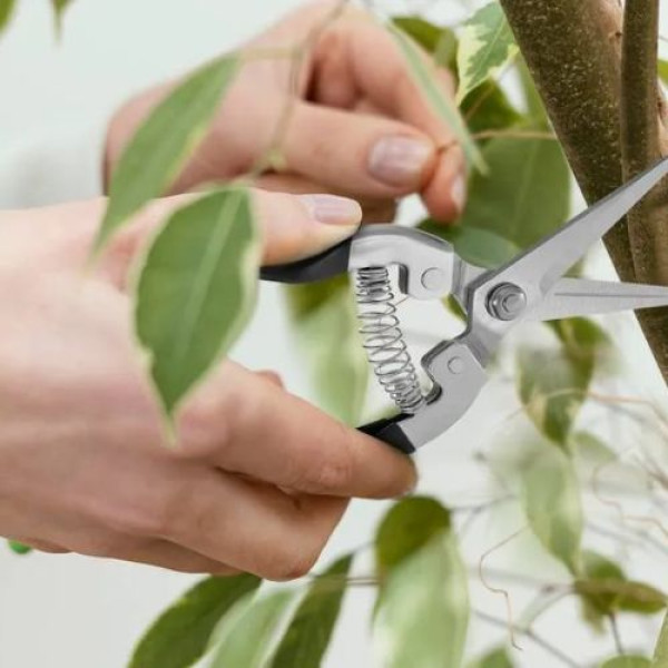 Садовые ножницы Herbgarden Spring для точной обрезки растений