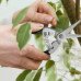 Садові ножиці Herbgarden Spring для точного обрізання рослин