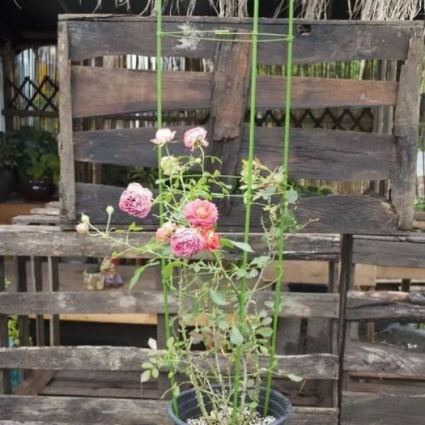 Подпорка для растений Herbgarden Flower Support h90см ⌀28см