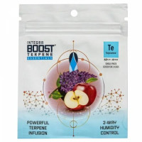 Регулятор влажности Integra Boost 62% Terpinolene (4g) Регулятор влажности Integra Boost 62% Terpinolene (4g)