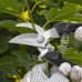 Секатор Herbgarden для точного обрізання рослин