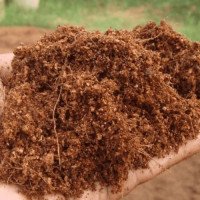 CANNA Coco Professional Plus (1L собст. фасовка)