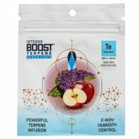 Регулятор вологості Integra Boost 62% Terpinolene (67g)