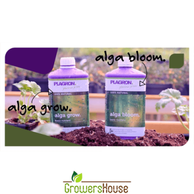 Как использовать Plagron Alga Grow и Algal Bloom