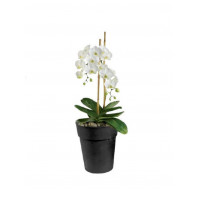 Горшок ORCHIDS 14x16 см, 1,5л Горшок ORCHIDS 14x16 см, 1,5л