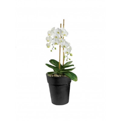 Горщик ORCHIDS 14x16 см, 1,5 л Горщик ORCHIDS 14x16 см, 1,5 л