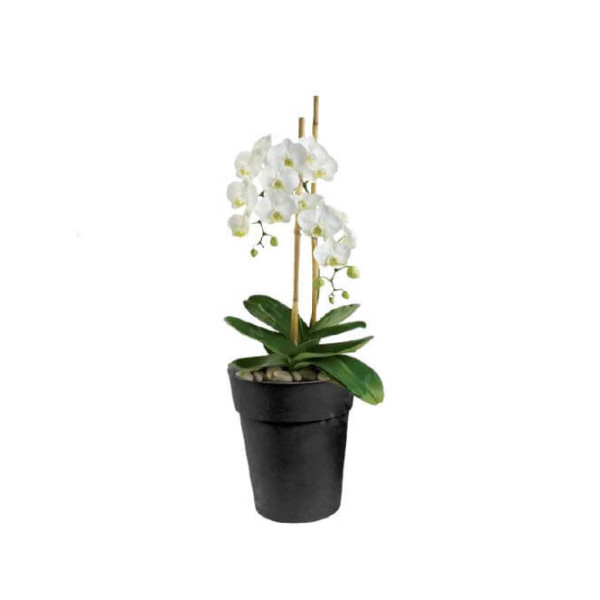 Горшок ORCHIDS: Новые стандарты цветочных горшков