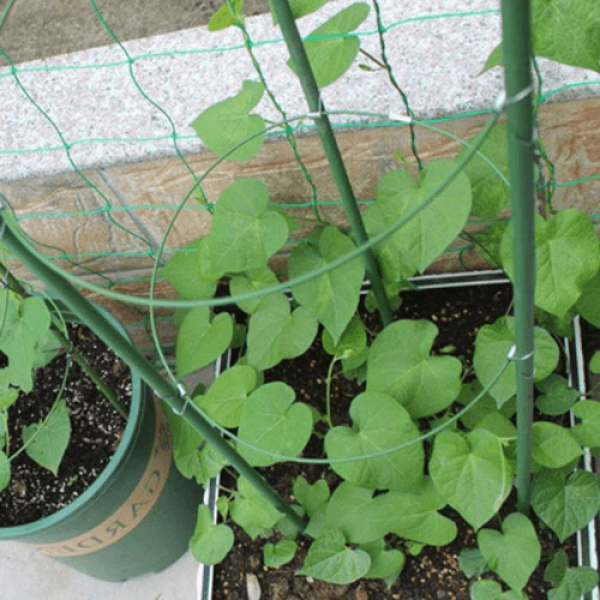 Металлическая опора Herb Garden 60 см. для цветов.