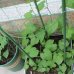 Металлическая опора Herb Garden 60 см. для цветов.