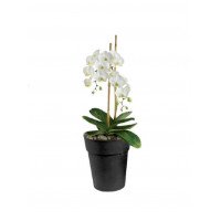 Горшок ORCHIDS 14x16 см, 1,5л