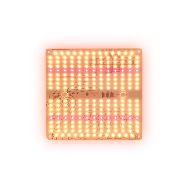 Комплект LED лампа THE JACKSON LITE 100W V1 без димминга и подвесы Lighthangers 5kg