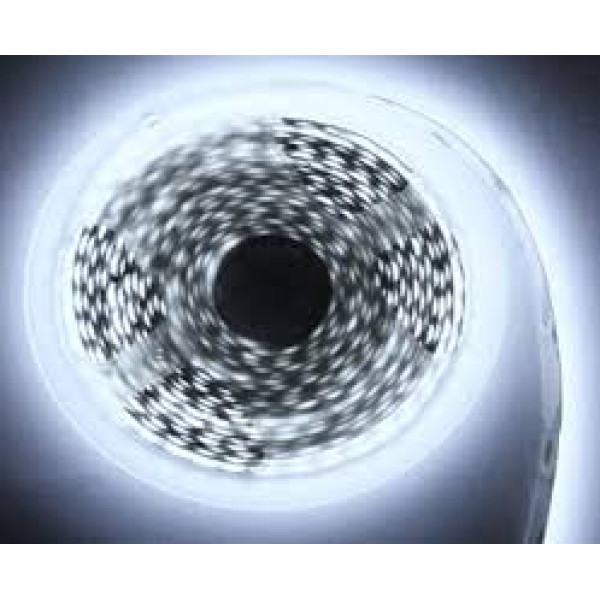 Лед стрічка SunLight 12V 6500K -270 5м