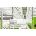 LED лампа Mars Hydro FC 6500: Освітлення для Рослин LED лампа Mars Hydro FC 6500: Освітлення для Рослин
