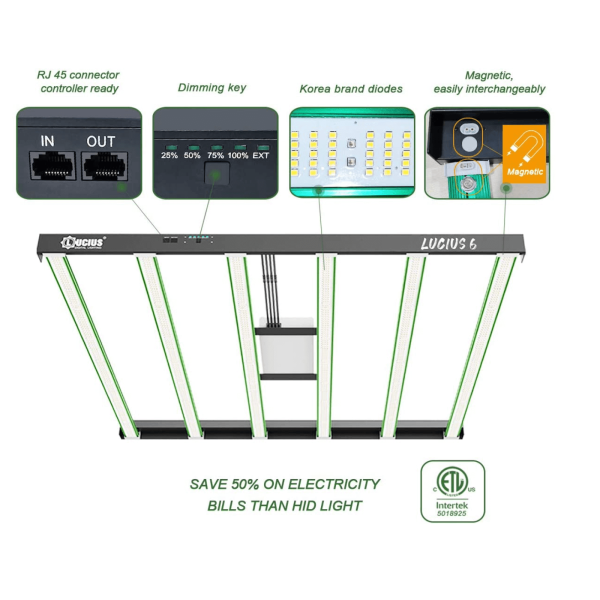 LED лампа ECO Lucius 600W — світлодіодна лампа з повним спектром для вертикальних ферм та теплиць