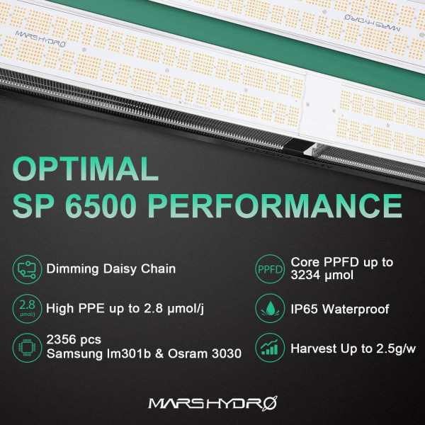 Mars Hydro SP 6500: Односмугова LED Лампа для Гроувінгу