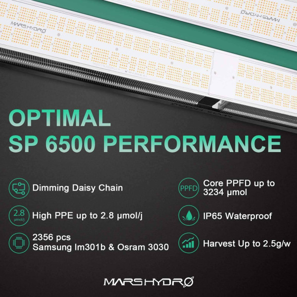 Mars Hydro SP 6500: Односмугова LED Лампа для Гроувінгу