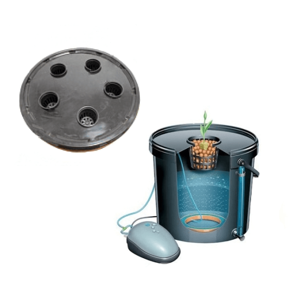 Гідропонна система DWC 5pots із сітчастими стаканами 5,5 см