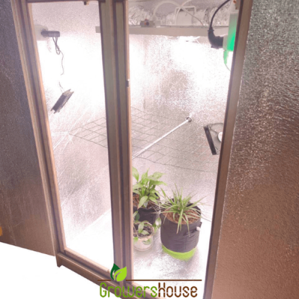 Гроубокс Big Ben Grow box Стелс Quantum Board 240w – мощный гроубокс для профессионального выращивания растений