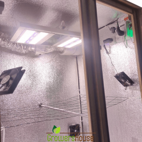 Гроубокс Big Ben Grow box Стелс Quantum Board 240w – потужний гроубокс для професійного вирощування рослин