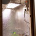 Гроубокс mini Grow box Стелс Quantum Board 120w – компактный и удобный гроубокс для домашних условий