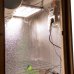 Гроубокс mini Grow box Стелс Quantum Board 120w – компактний та зручний гроубокс для домашніх умов