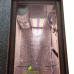 Гроубокс Grow box Стелс Quantum Board 120w – эффективное решение для выращивания растений дома