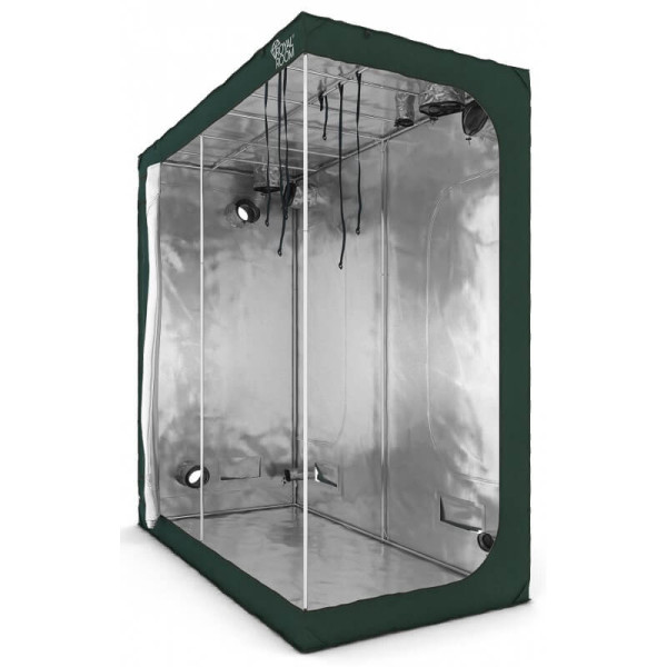 RoyalRoom Гроубокс  Classic C240SH 240x120x250