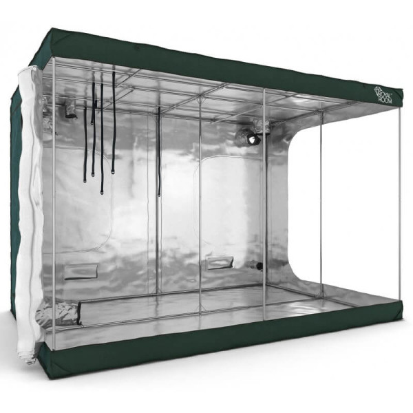 Гроубокс RoyalRoom Classic C300 Гроубокс RoyalRoom Classic C300