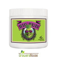 Big Bud® Powder 130 гр.