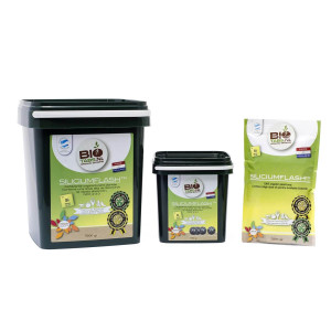 Органічне добриво Biotabs Silicium Flash (9L)
