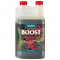 CANNA Boost (1L)
