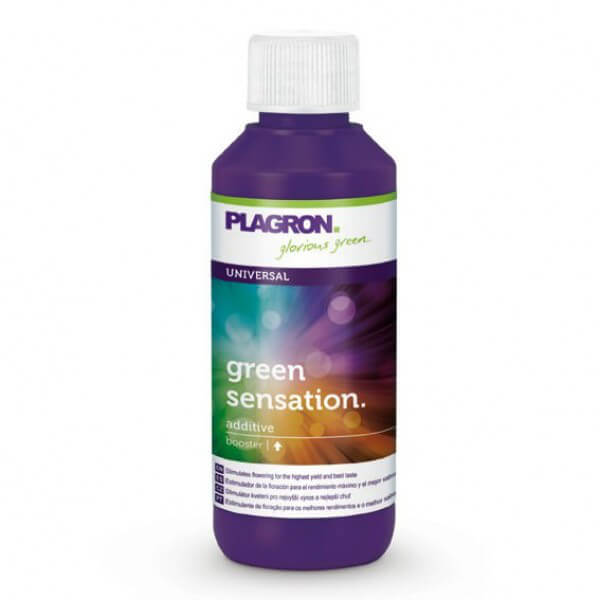 Увеличьте Урожайность с Green Sensation