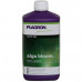 Plagron Alga Bloom: Розкішне Цвітіння