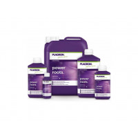 PLAGRON Power Roots (100ml)