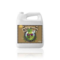 Добрива Advanced Nutrients Big Bud (500ml)