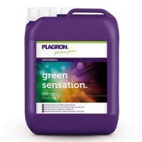 Плагрон Green Sensation (5L)